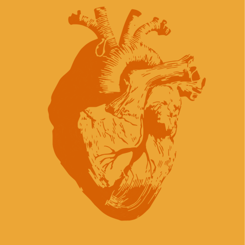 Mesa de trabajo 9ok tarjetas CORALf